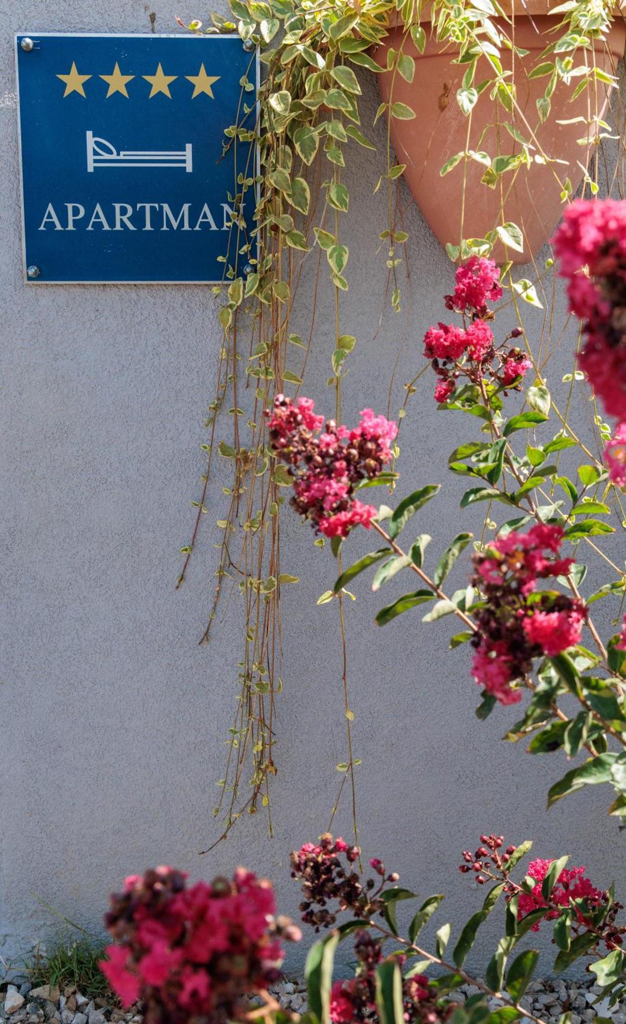 Luxury Apartment Alba With Pool Kanfanar Ngoại thất bức ảnh